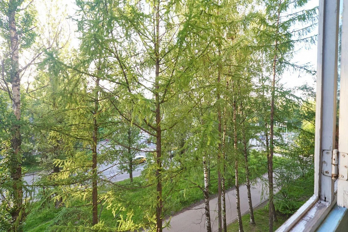 Ярославская обл, г Ярославль, улица Урицкого, д 43